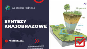 Syntezy krajobrazowe