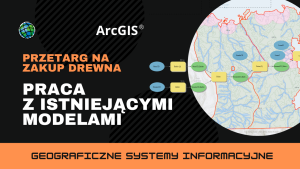 Przetarg na zakup drewna. Praca z istniejącymi modelami