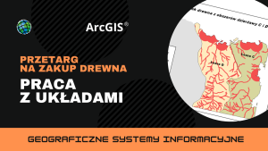 Przetarg na zakup drewna. Praca z układami