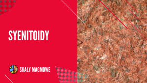 SYENITOIDY