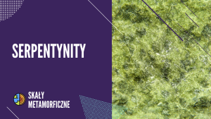 SERPENTYNITY