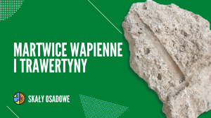 MARTWICE WAPIENNE
