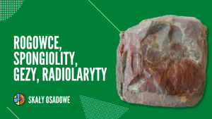 ROGOWCE (SPONGIOLITY, GEZY, RADIOLARYTY)