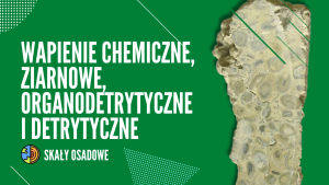 WAPIENIE CHEMICZNE, ORGANODETRYTYCZNE, DETRYTYCZNE I ZIARNOWE