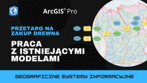 Przetarg na zakup drewna. Praca z istniejącymi modelami