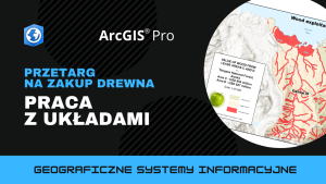 Przetarg na zakup drewna. Praca z układami