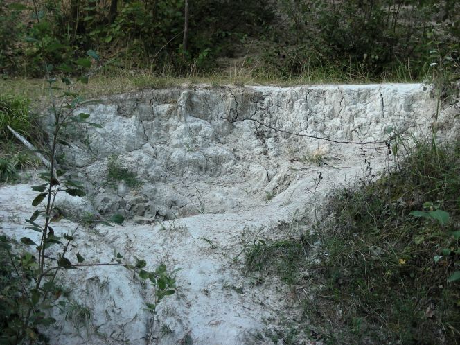 Kaolin - Vidnava (Rep. Cz.)