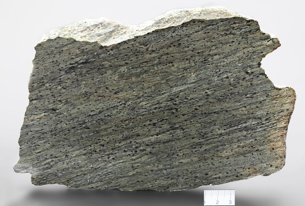 Łupek chlorytowo-biotytowy