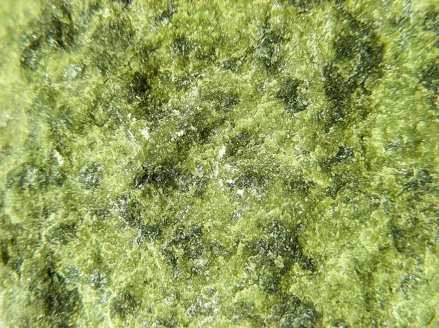 Serpentynit z antygorytem (jasnozielony) i reliktami oliwinów (ciemnozielone), Szklary