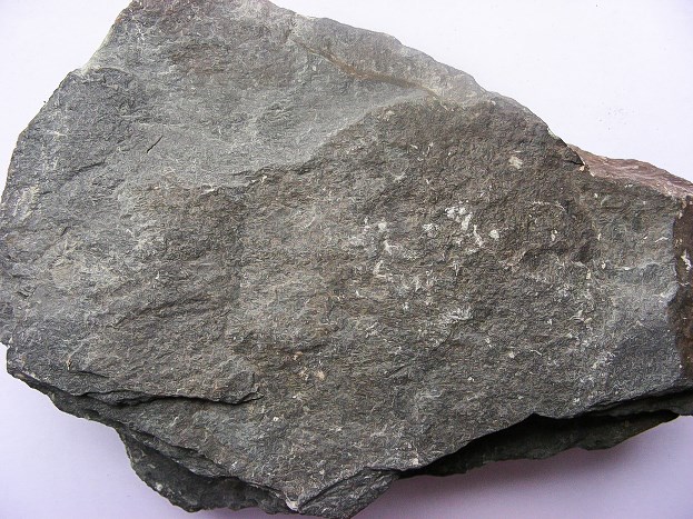 Zieleniec