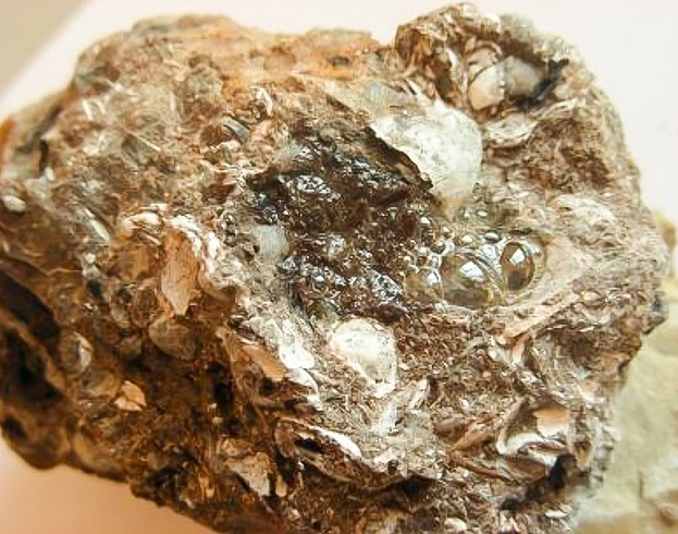 Gytia wapnista