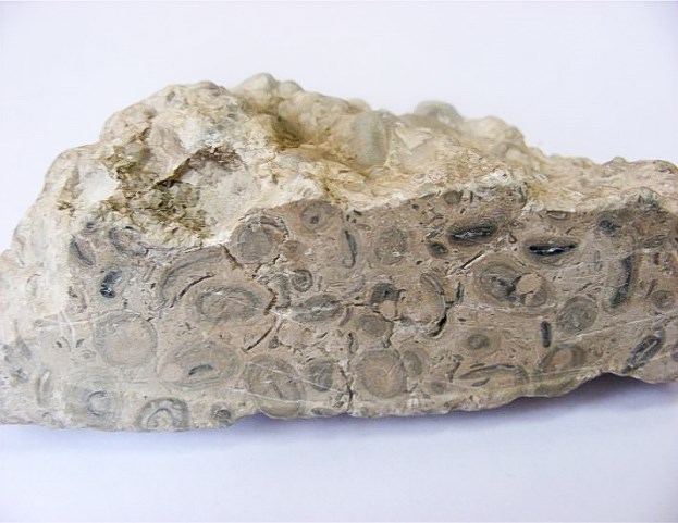 Wapień onkolitowy