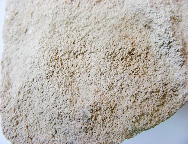 Wapień oolitowy