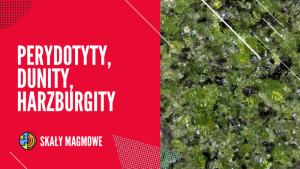 PERYDOTYTY, DUNITY, HARZBURGITY