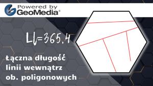 Łączna długość linii wewnątrz ob. poligonowych