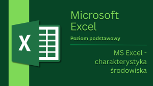 MS Excel - charakterystyka środowiska