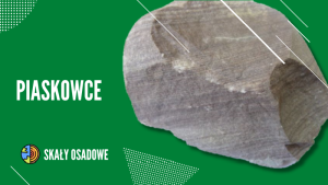 PIASKOWCE