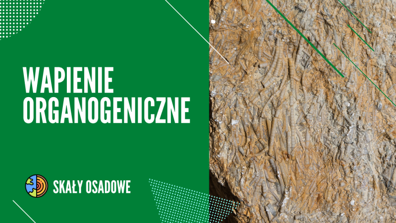 Nagłówek graficzny