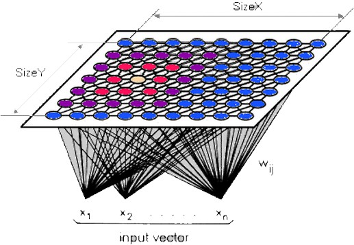 Kohonen's SOM with the winning neuron