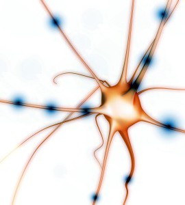 Neuron